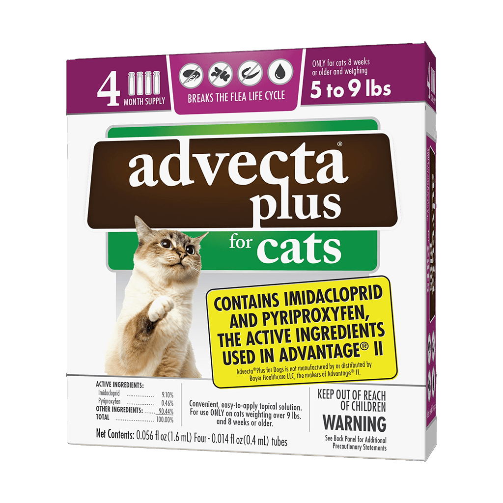 Advecta Plus SM Cat 5-9lbs 4 Pack