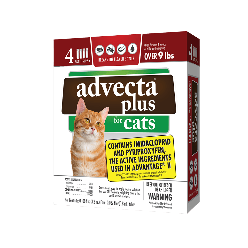 Advecta Plus LG Cat 9lbs+ 4 Pack