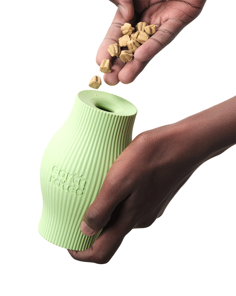 Earth Rated Green Treat Dog Toy - Small 4.5"