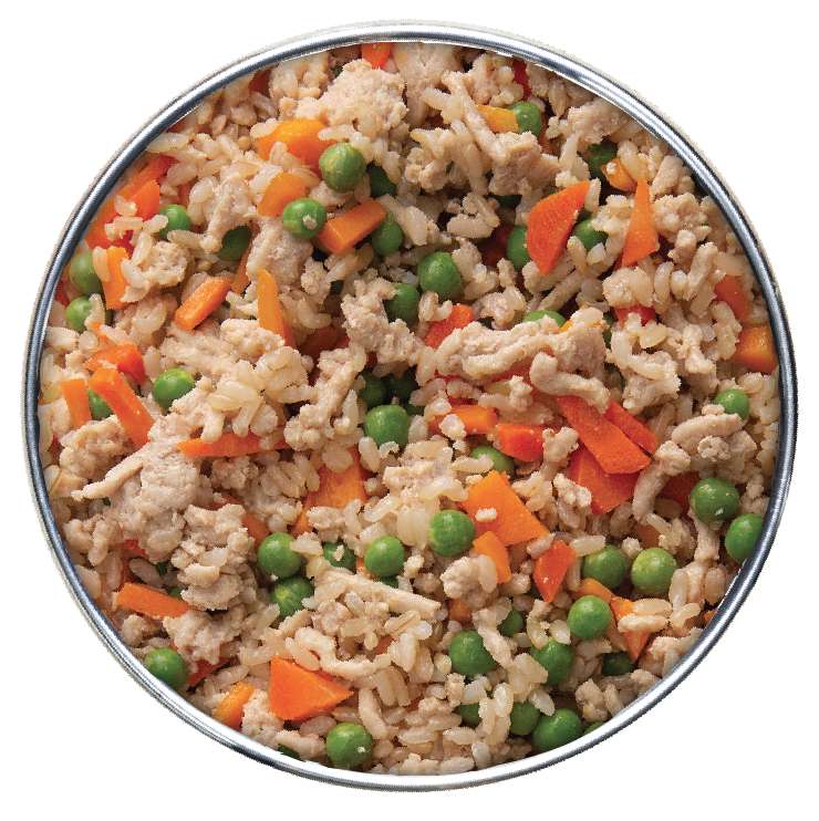 Health Extension Gently Cooked Chicken & Pumpkin Dog Food 9oz