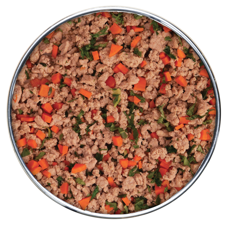 Health Extension Gently Cooked Duck & Kale Dog Food 9oz