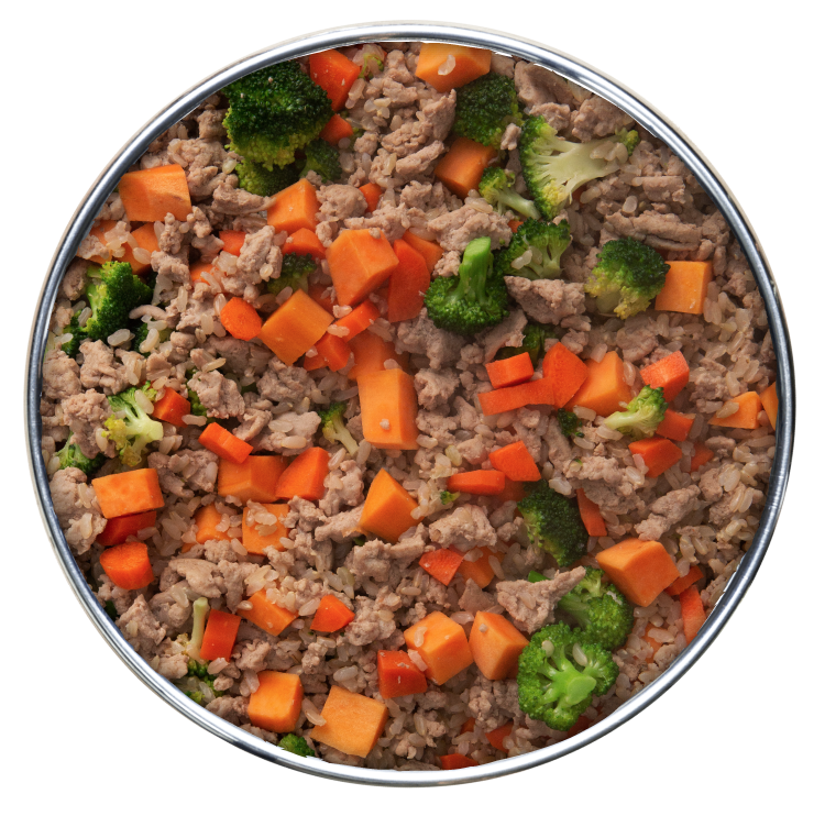 Health Extension Gently Cooked Lamb & Carrot Dog Food 3oz