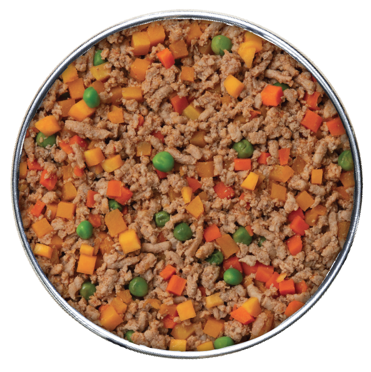 Health Extension Gently Cooked Salmon Dog Food 3oz