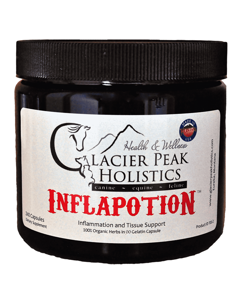 Glacier Peak Holistics Inflapotion Herbal Remedy for Dogs 120-Count