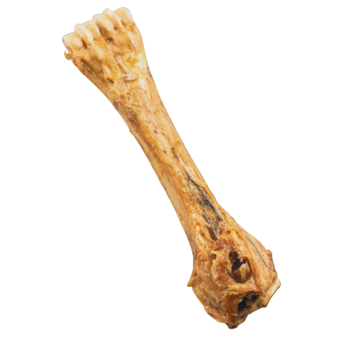 Jack & Pup Shin Bone 8" Dog Chew