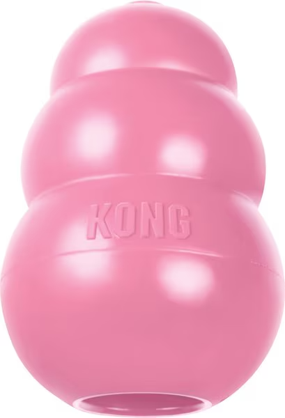 Kong Puppy - Medium