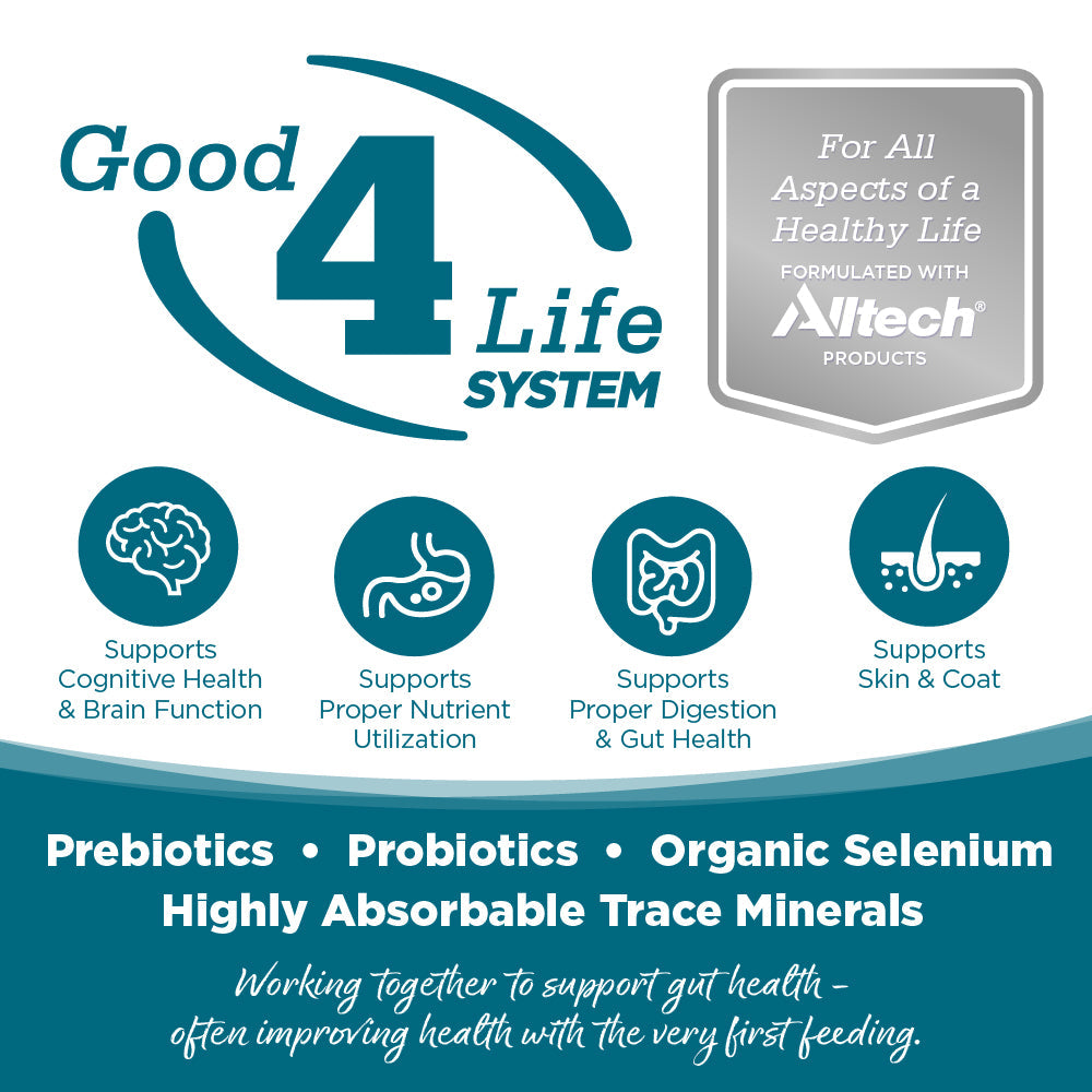 NutriSource Adult Chicken & Rice Dry Dog Food