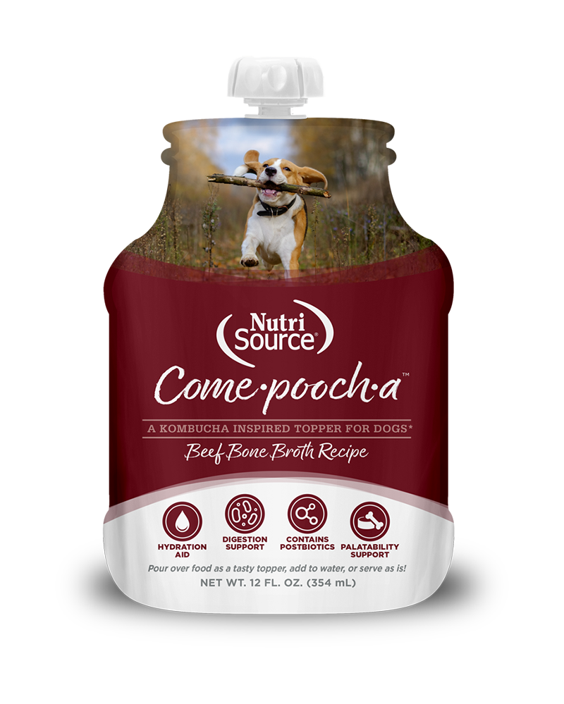 NutriSource Come-pooch-a Beef Bone Broth Topper for Dogs 12oz