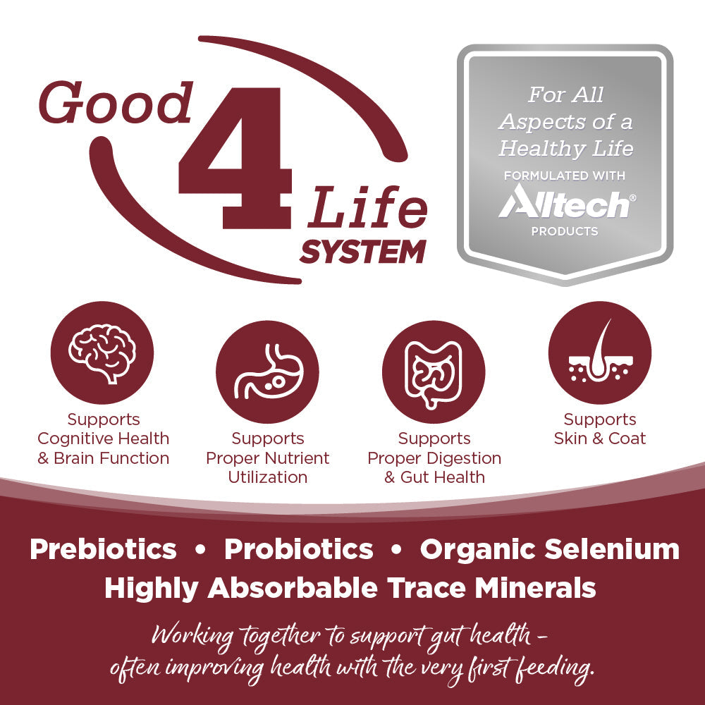 NutriSource Beef & Rice Dry Dog Food