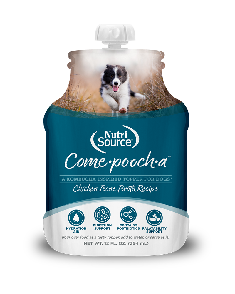 NutriSource Come-pooch-a Chicken Bone Broth Topper for Dogs 12oz