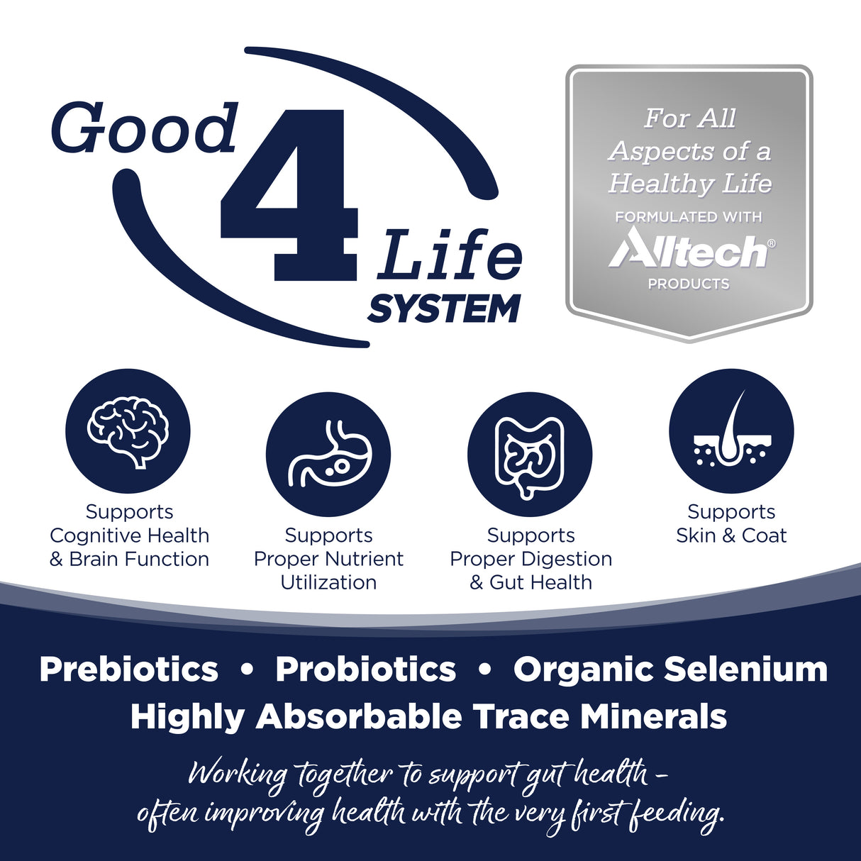 NutriSource Grain Free Woodlands Select Dry Dog Food 26lbs