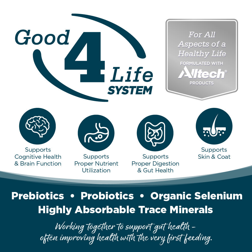 NutriSource Adult Small Bites Chicken & Rice Dry Dog Food