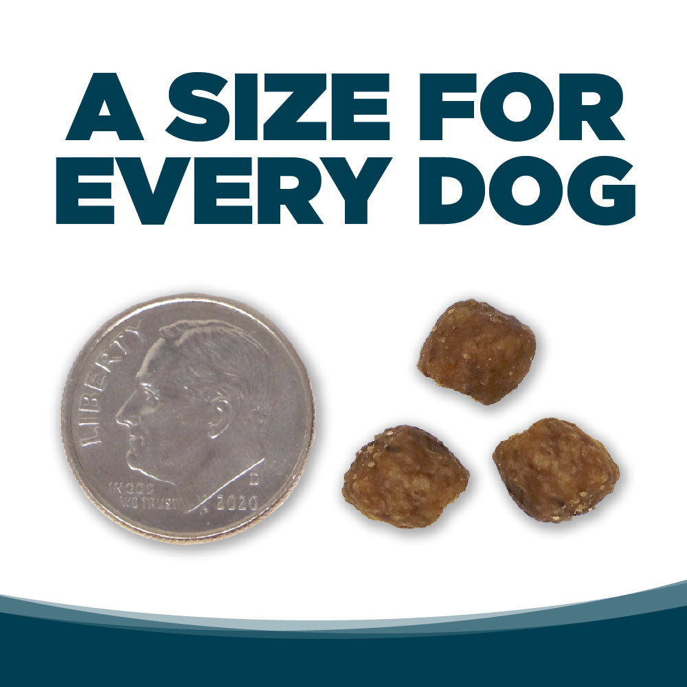 NutriSource Adult Small Bites Chicken & Rice Dry Dog Food