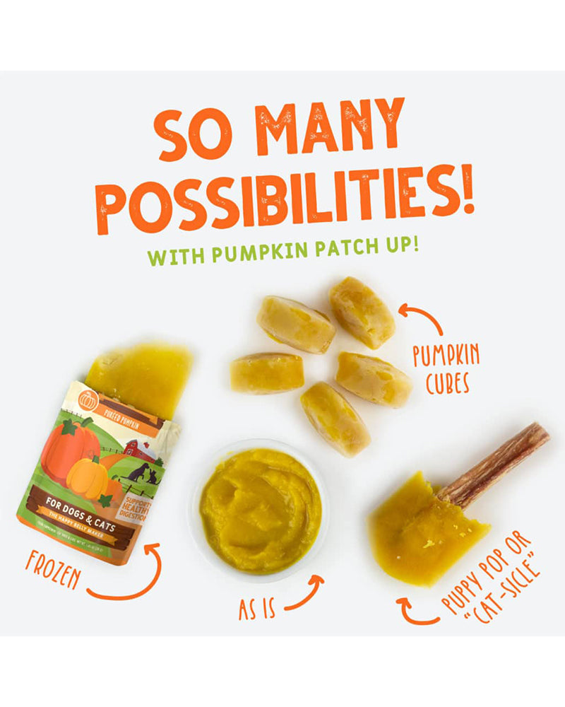 Weruva Pumpkin Patch Up 2.8oz