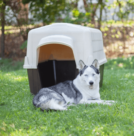 Petmate Barn Home III Dog House