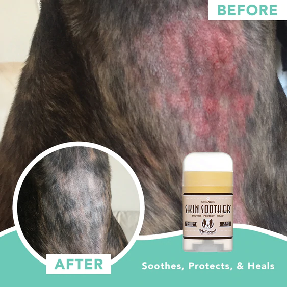 Natural Dog Company Skin Soother® Healing Balm