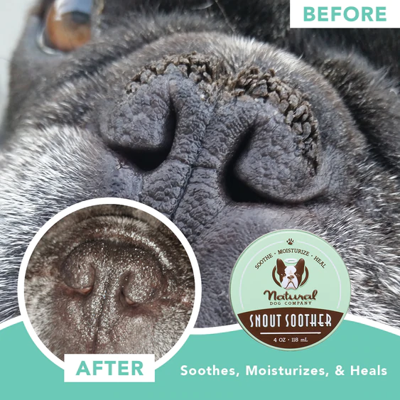 Natural Dog Company Snout Soother® Skin Balm