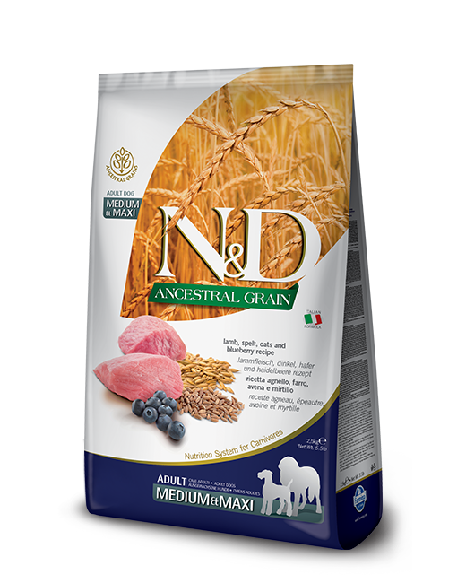 Farmina N&D Ancestral Grain Lamb & Blueberry Medium & Maxi Adult Dry Dog Food 5.5lb