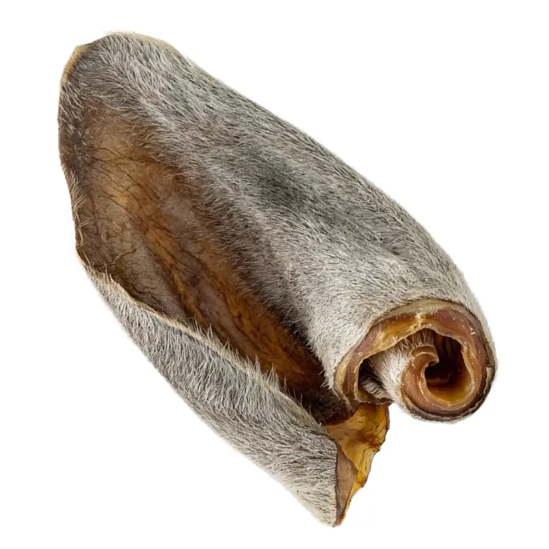 Raw Dog Cow Ear with Hair for Dog Chew