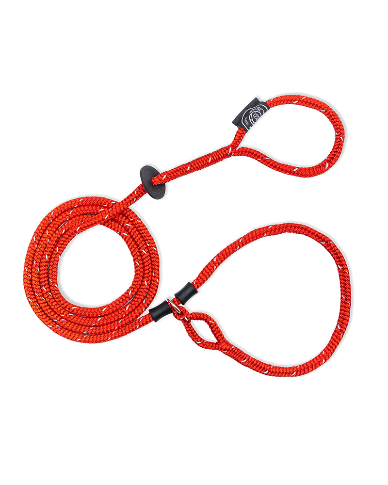 No-Pull Escape Resistant Harness & Lead In-One - Small/Medium