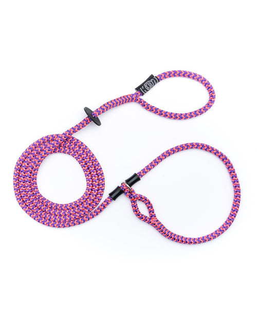 No-Pull Escape Resistant Harness & Lead In-One - Small/Medium