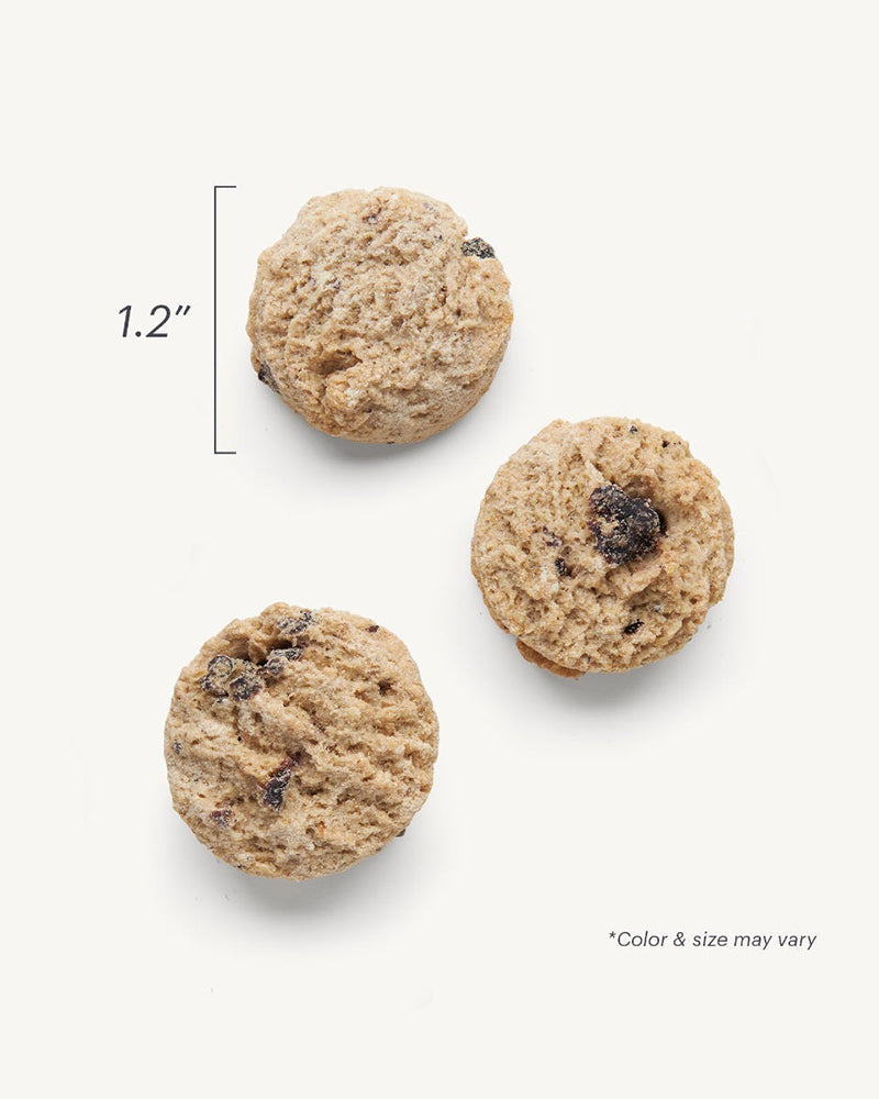 The Honest Kitchen Goat's Milk N' Cookies - Blueberries & Vanilla 8oz