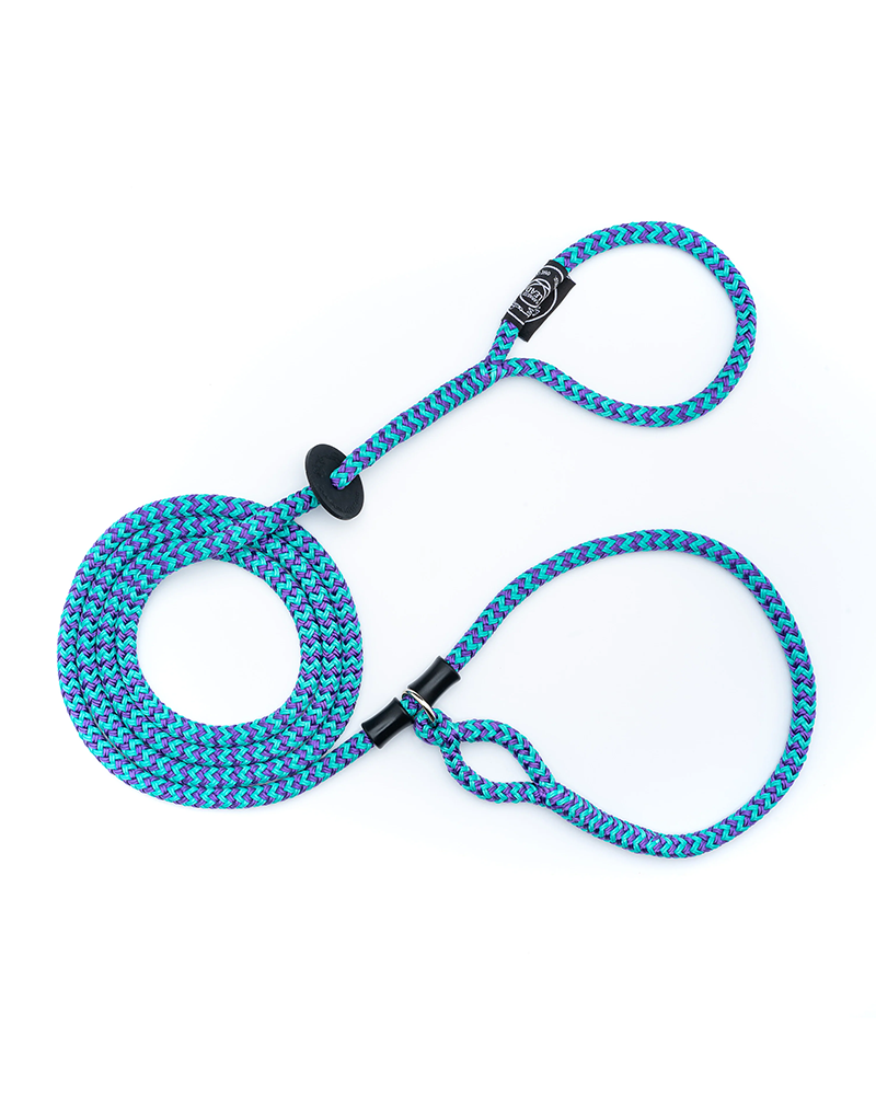 No-Pull Escape Resistant Harness & Lead In-One - Medium/Large