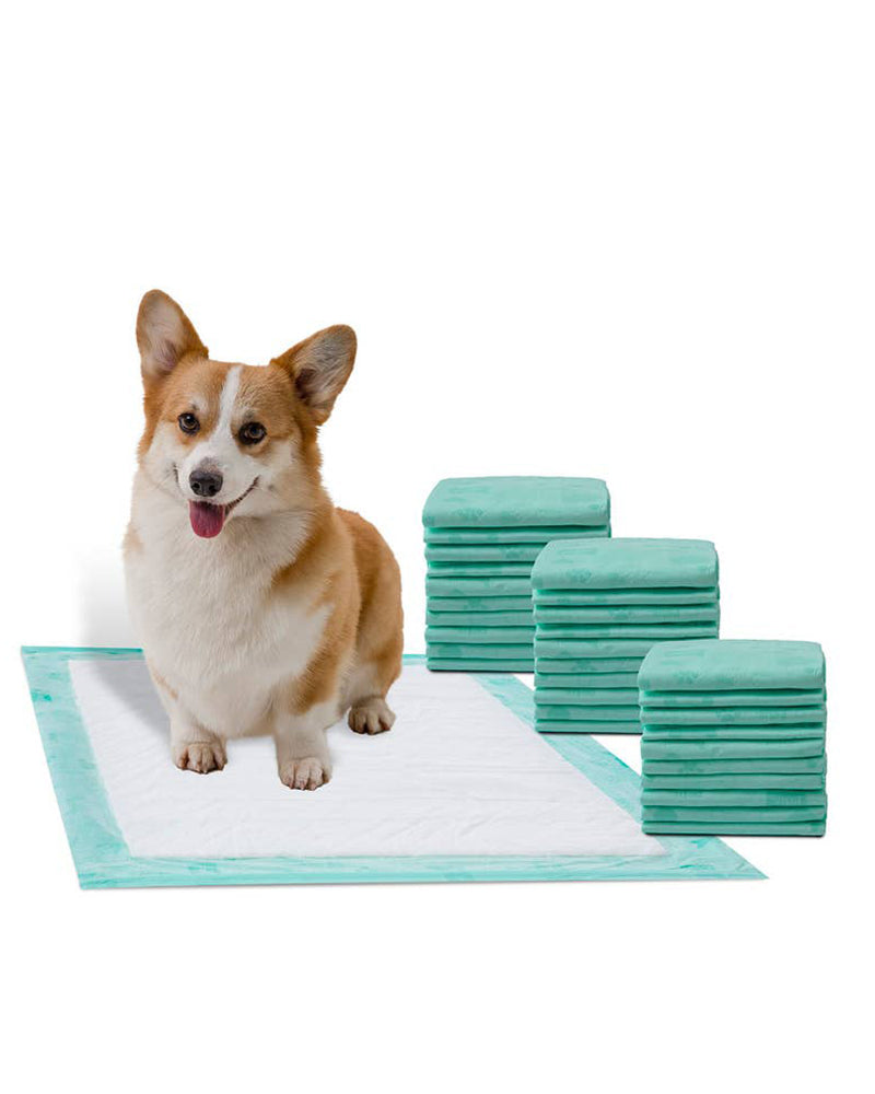 WizSmart All-Day Dry Dog Pads - Ultra XL 24  Pack