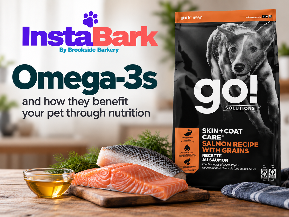 Benefits for your pets Skin & Coat Health through Omega-3 Fatty Acids