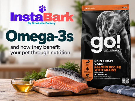 Benefits for your pets Skin & Coat Health through Omega-3 Fatty Acids