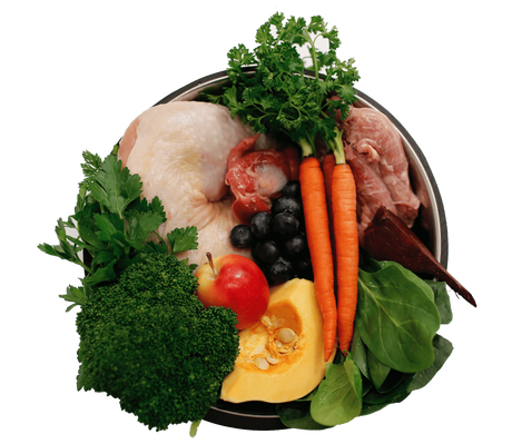 Fresh - Frozen - Raw Foods
