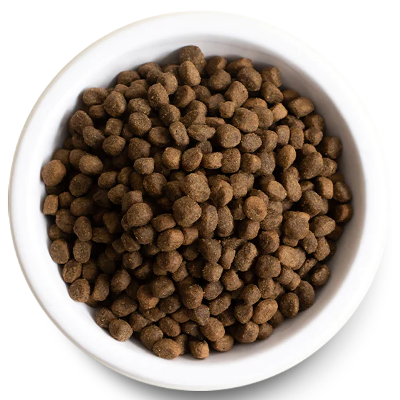 Dog Dry Kibble