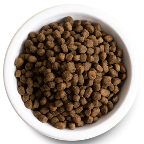 Dog Dry Kibble