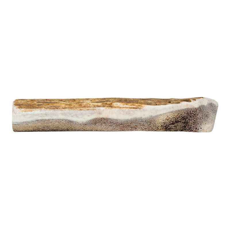 Primal Antler Elk Split Large