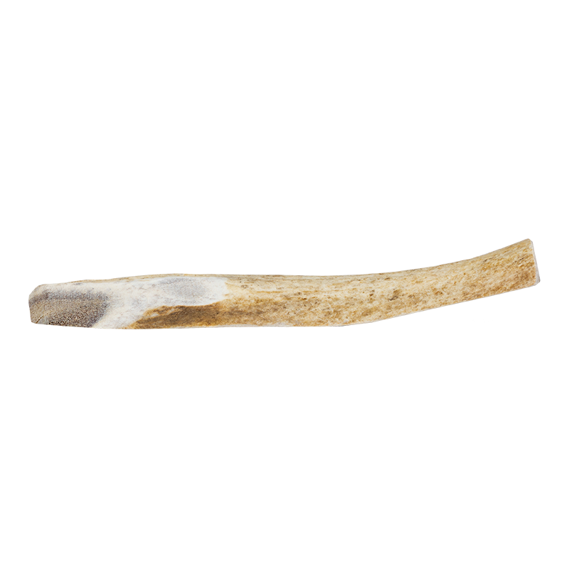 Primal Antler Elk Split XLarge
