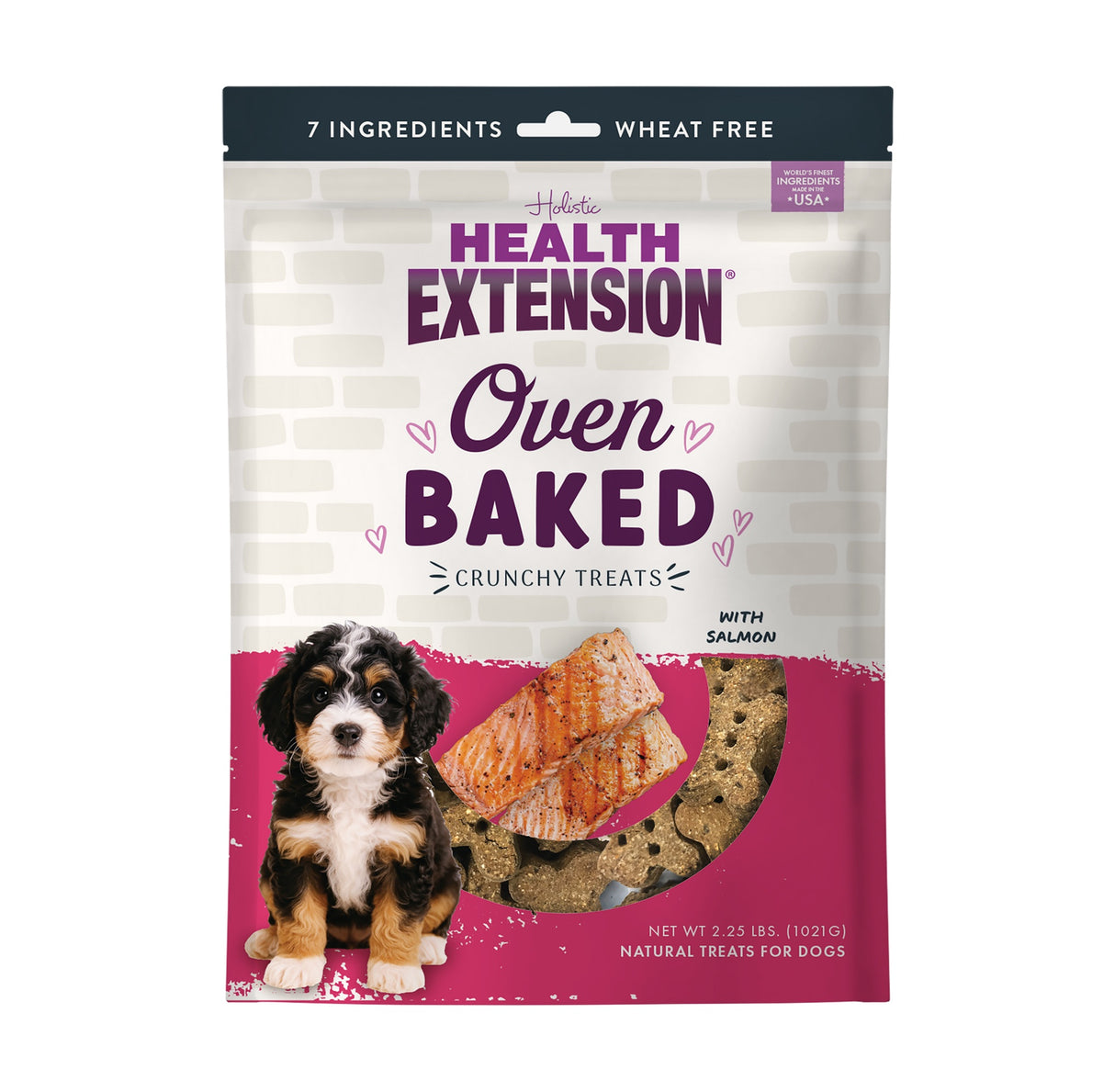 Health Extension Oven Baked Crunchy Treats Salmon 2.25lb