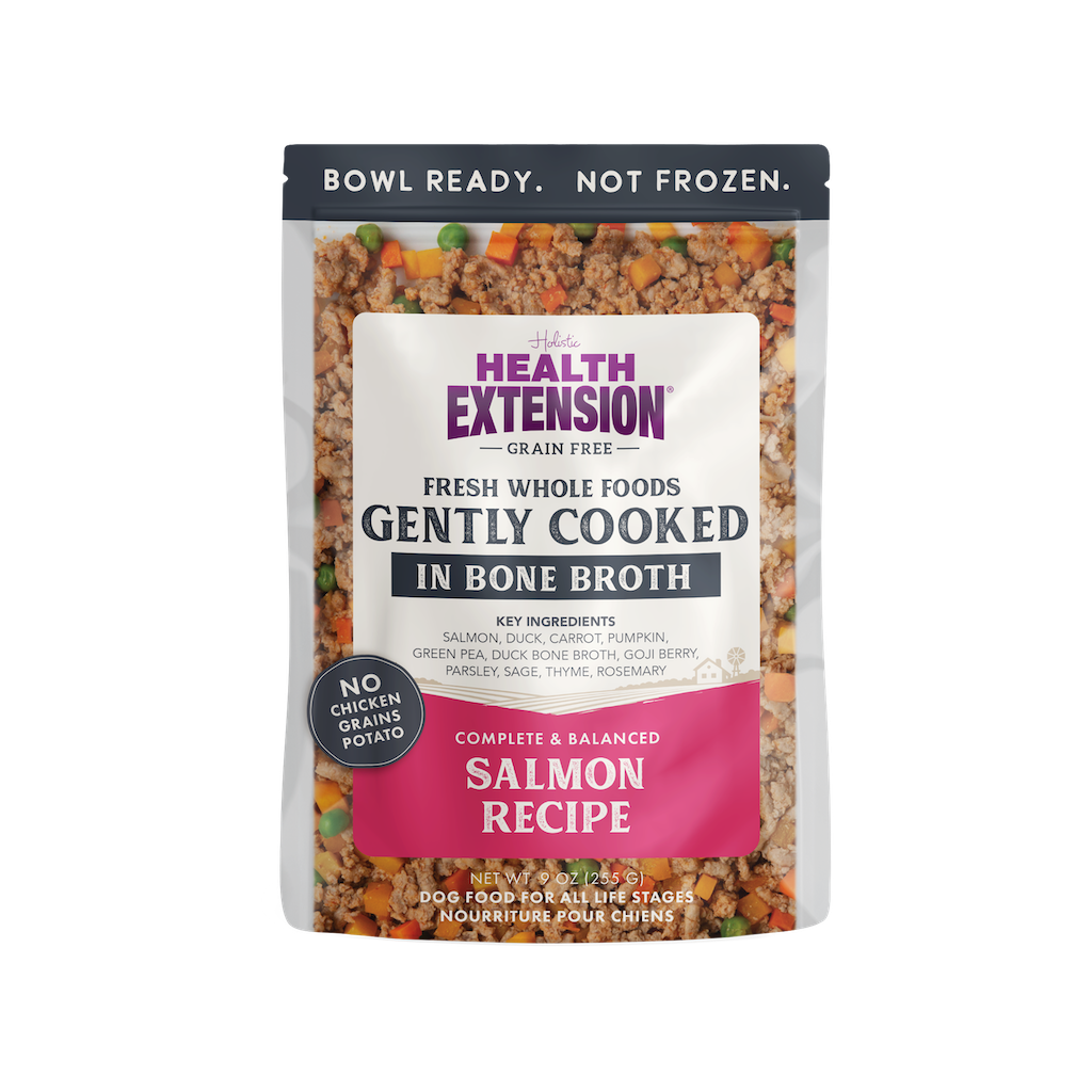 Health Extension Gently Cooked Salmon Dog Food 9oz