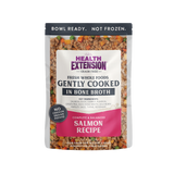 Health Extension Gently Cooked Salmon Dog Food 9oz