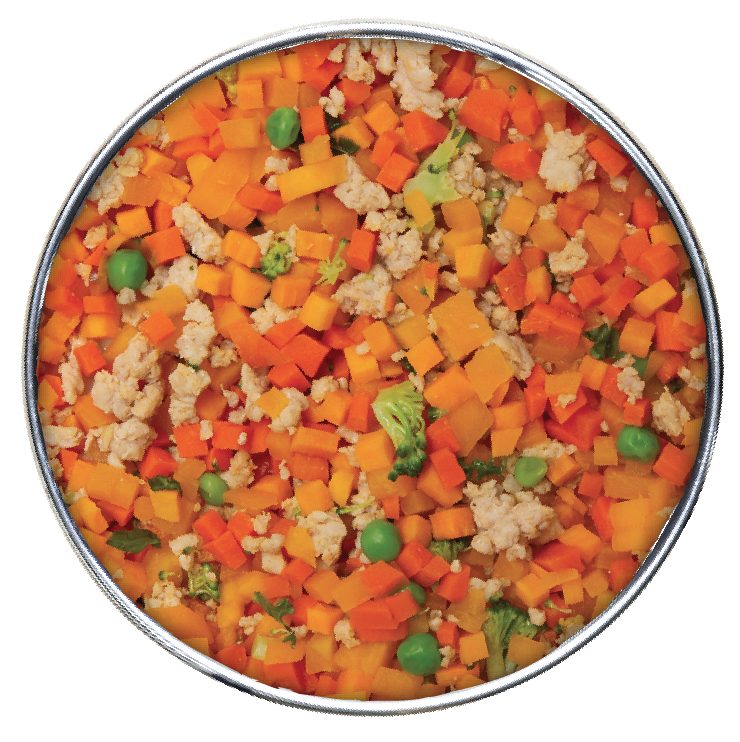 Health Extension Gently Cooked Vegetarian Dog Food 3oz
