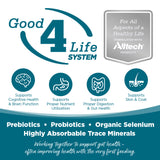 NutriSource Adult Chicken & Rice Dry Dog Food