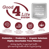 NutriSource Beef & Rice Dry Dog Food