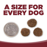 NutriSource Beef & Rice Dry Dog Food