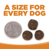 NutriSource Lamb & Rice Dry Dog Food