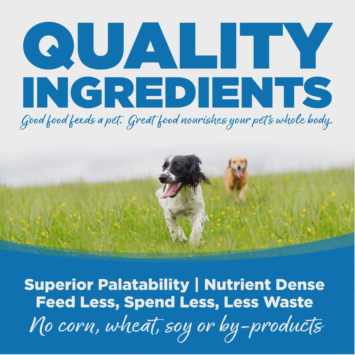 NutriSource Large Breed Chicken & Rice Dry Dog Food 26lb