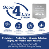 NutriSource Trout & Rice Dry Dog Food