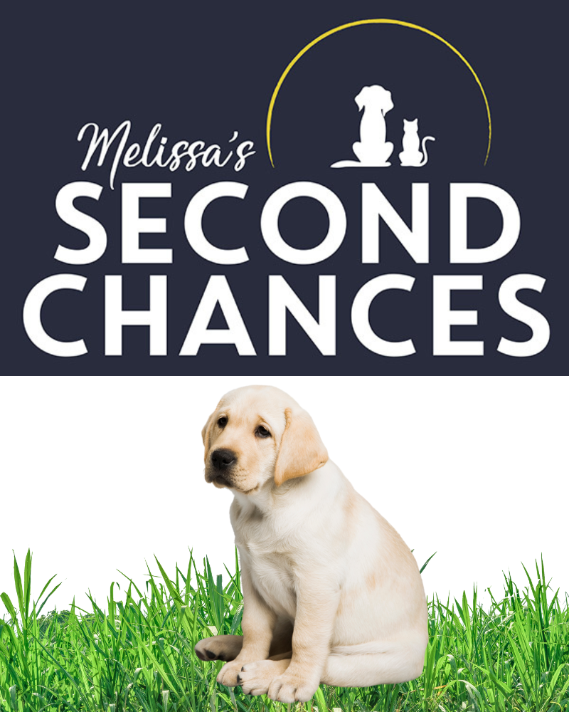 Feed a Pet in Need for 1 Day - Melissa's Second Chances