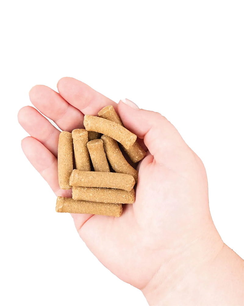 Earthborn Holistic EarthBites Chewy Grain-Free Dog Treats - Bison 7oz