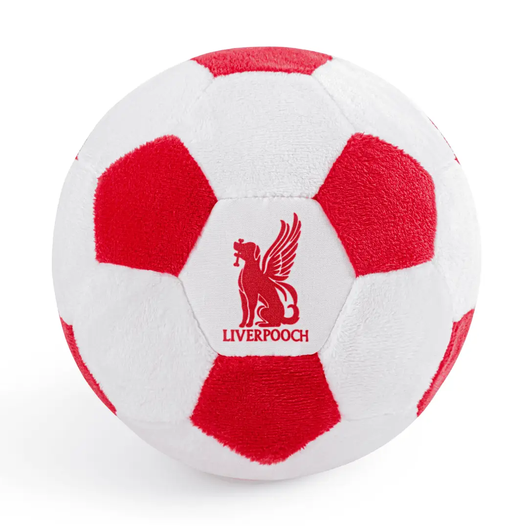 Floofball World Cup Soccer Ball Dog Toy