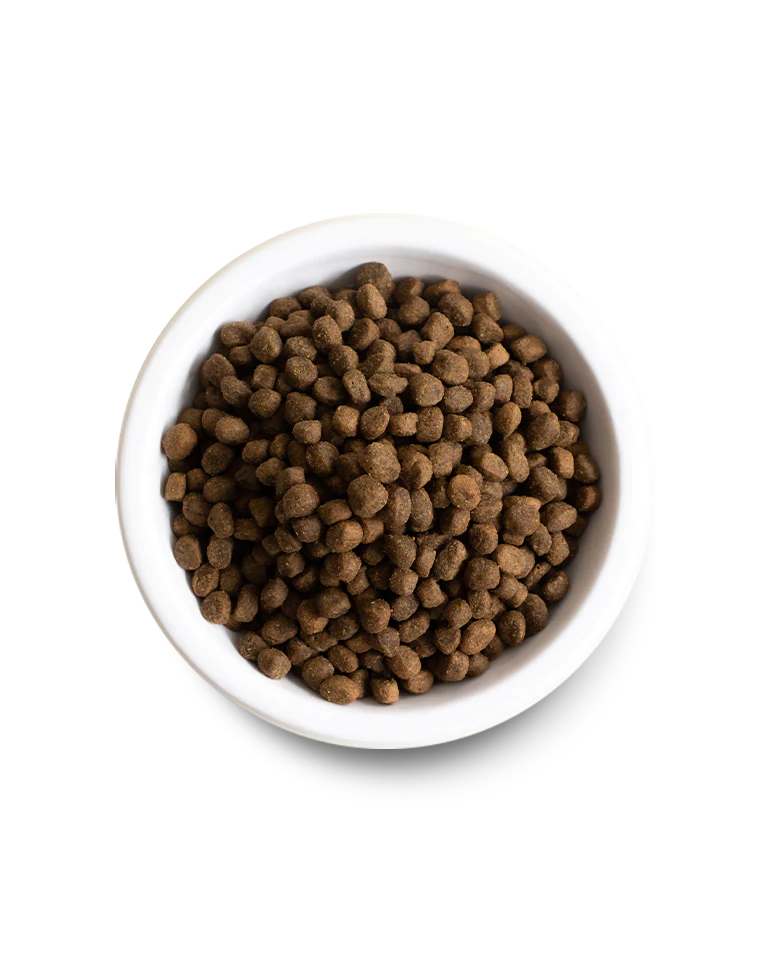 Open Farm Grass-Fed Beef Grain-Free Dry Dog Food 22lb