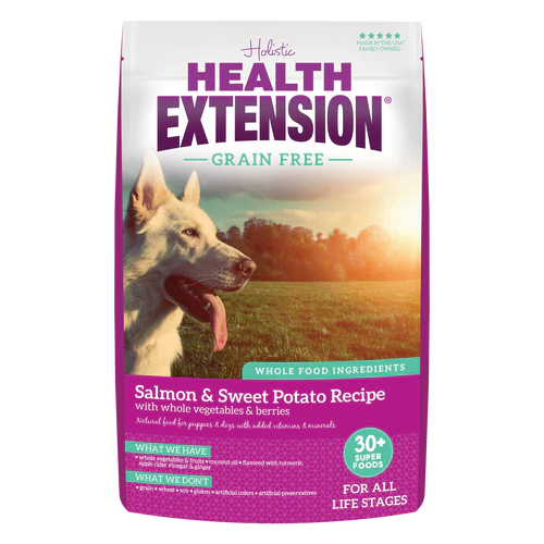 Health Extension Grain Free Salmon & Vegetables Recipe Dry Dog Food